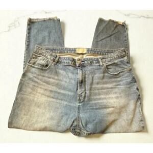 Everlane Jeans Straight Curvy Fit Blue Denim Raw Hem Women’s 35 Plus Size 20